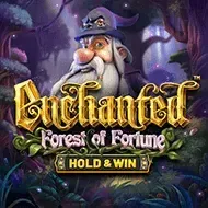 Enchanted Forest Of FortuneBsg
