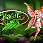 Magic Forest